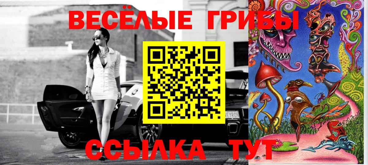 Псилоцибиновые грибы GOLDEN TEACHER Арсеньев